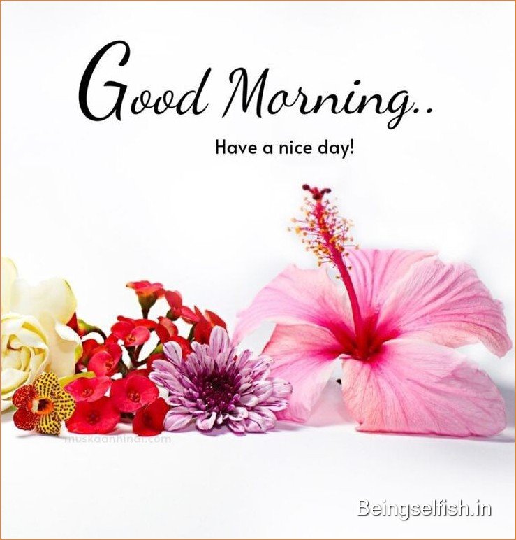 good-morning-images-new