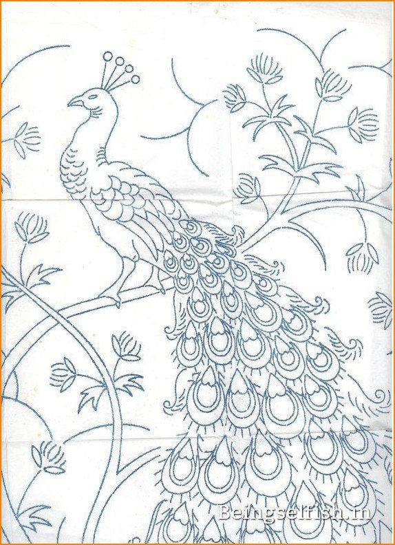 peacock-drawing