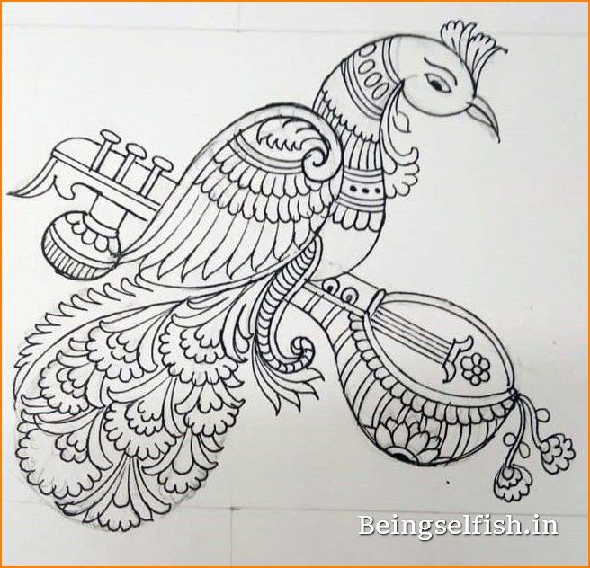 peacock-drawing-images