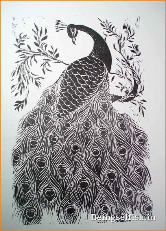 peacock-drawing-easy-beautiful