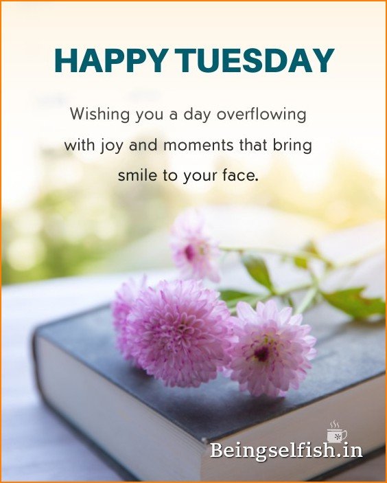 tuesday-good-morning-images