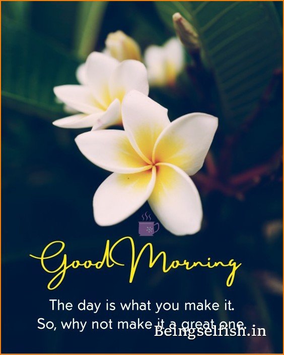 flower-good-morning-images