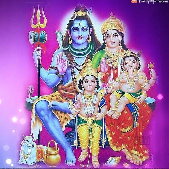 lord krishnand his family